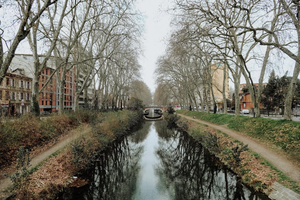 Cose da visitare a Tolosa: il Canal du Midi 